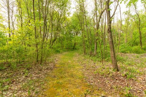 14770 Trillium, Augusta, MI 49012 photo 50