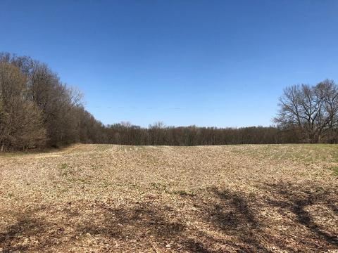 O Drive S, Athens, MI 49011