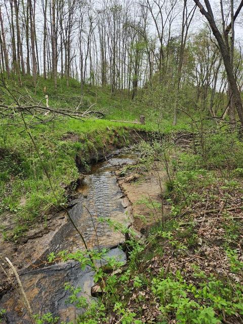 Sugar Creek Lot 36, Middleville, MI 49333