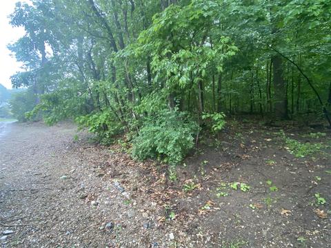 Vl Chestnut, Dowagiac, MI 49047