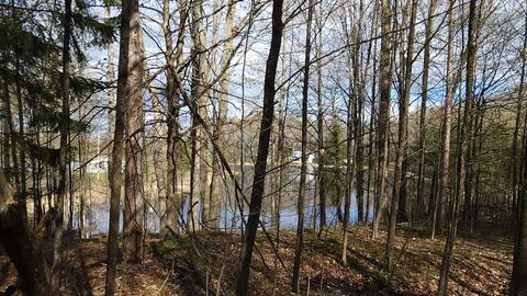 0 Eddy Dr, Gladwin, MI 48624