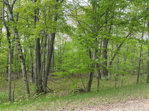 Ticino, Reed City, MI 49677