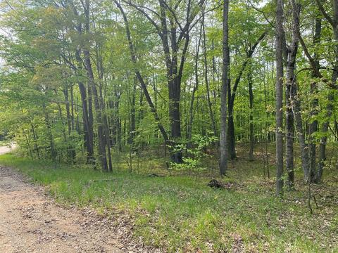 Thurgau, Reed City, MI 49677