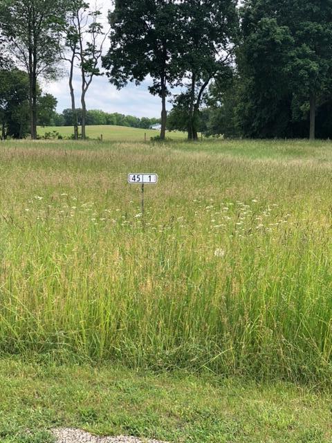 Lot 45 Leo Lane, Three Rivers, MI 49093 photo 2