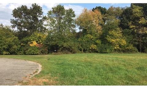 Lot 45 Leo Lane, Three Rivers, MI 49093 photo 7