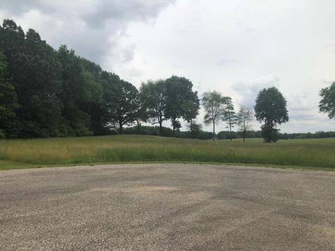 Lot 45 Leo Lane, Three Rivers, MI 49093 photo 3