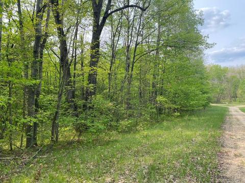 Basel, Reed City, MI 49677