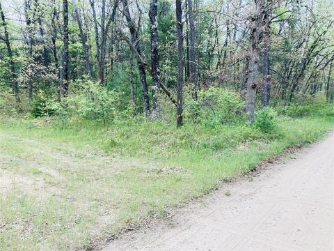 Vl Monroe, Idlewild, MI 49642