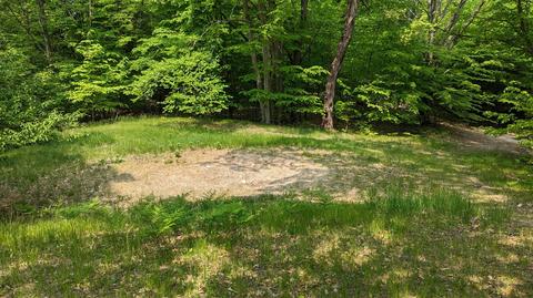 4975 Lookout #239, Custer, MI 49405 photo 2
