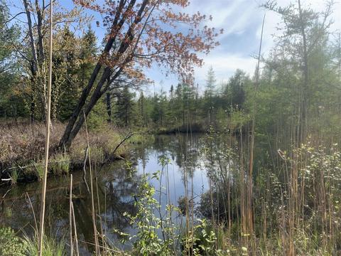 W Ausable Point, Oscoda, MI 48750