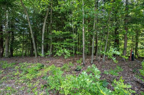 Lots 34-40 Forest Lake Drive, Big Rapids, MI 49307