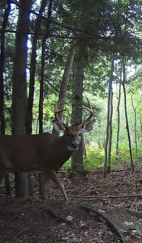 V/l 22 Mile Road, Sears, MI 49679 photo 37