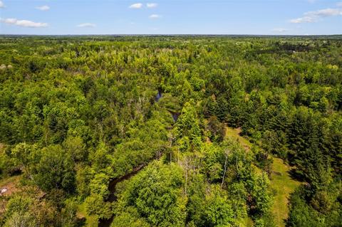 V/l 22 Mile Road, Sears, MI 49679 photo 32