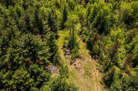V/l 22 Mile Road, Sears, MI 49679 photo 35