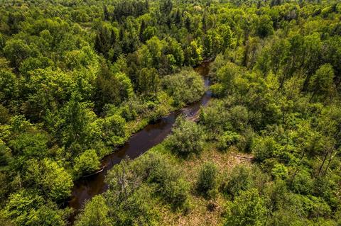 V/l 22 Mile Road, Sears, MI 49679 photo 5