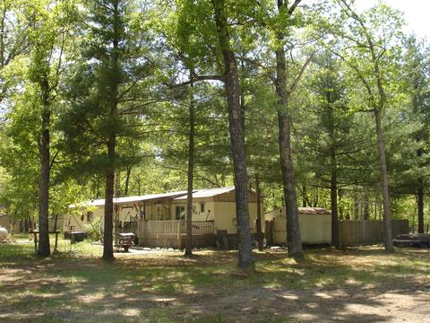 11933 S Tamarack Pnes, Baldwin, MI 49304