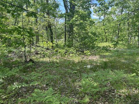 V/l E St. Louis, Idlewild, MI 49642