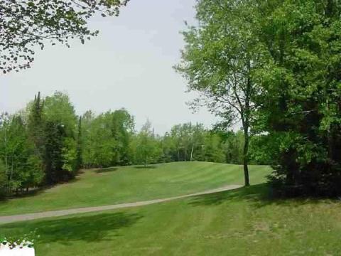 Lot 16 White Pine, Cadillac, MI 49601