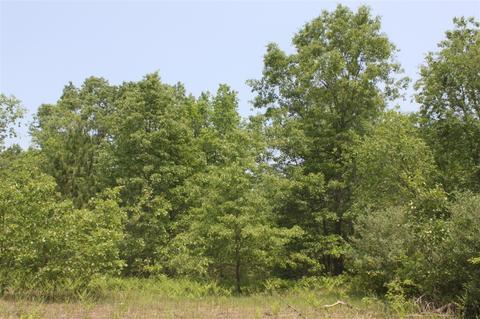 Parcel H Airport, Wellston, MI 49689