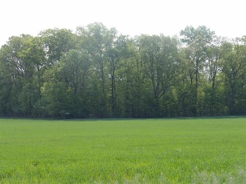 2100 N Block N Bunn, Hillsdale, MI 49242