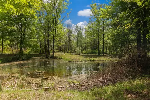 10113 Ziehm, Bear Lake, MI 49614