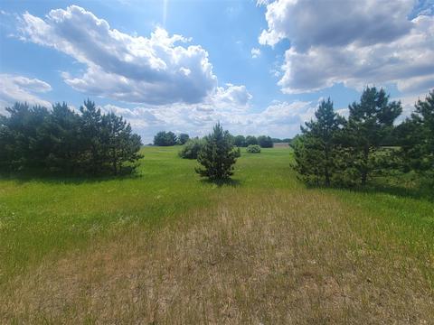M-66, Mendon, MI 49072