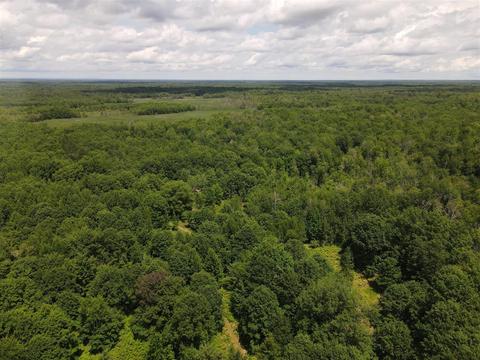 Pinconning, Beaverton, MI 48612