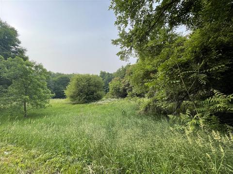 Vacantland Henry, Jackson, MI 49201 photo 10