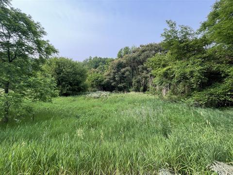 Vacantland Henry, Jackson, MI 49201 photo 3