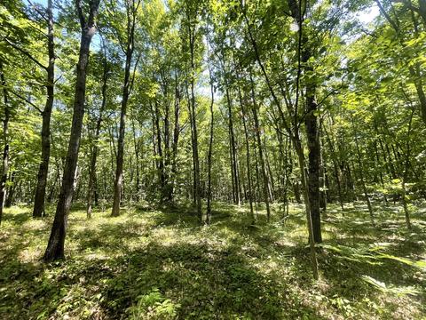 14 Mile, Leroy, MI 49655