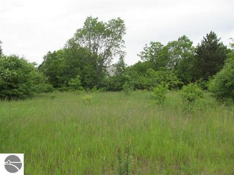 9 Lots Mark, Cadillac, MI 49601