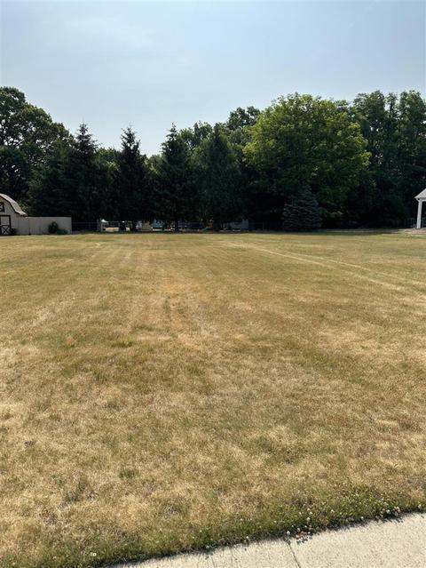 Lot 49 Charlotte Street, Centreville, MI 49032