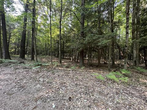 9191 Deerfield, Canadian Lakes, MI 49346