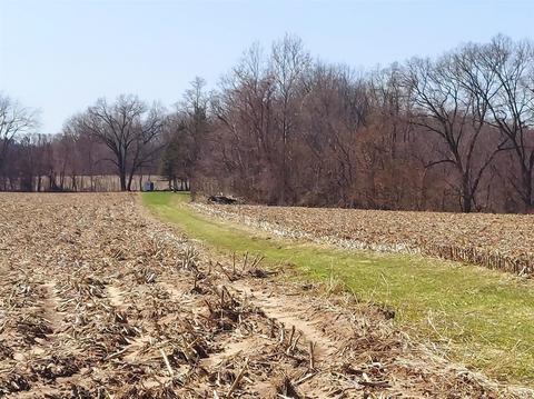 132 Acres 29th St, Gobles, MI 49055