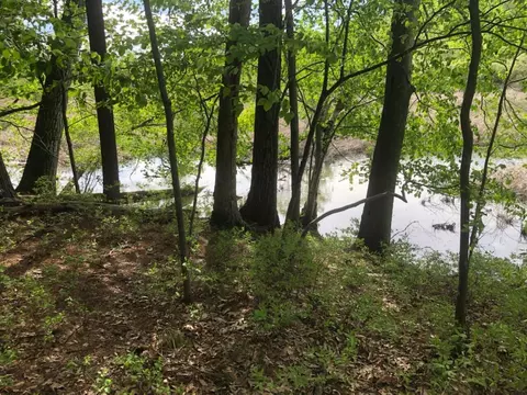 lot S A S Catalpa, Newaygo, MI 49337 photo 2