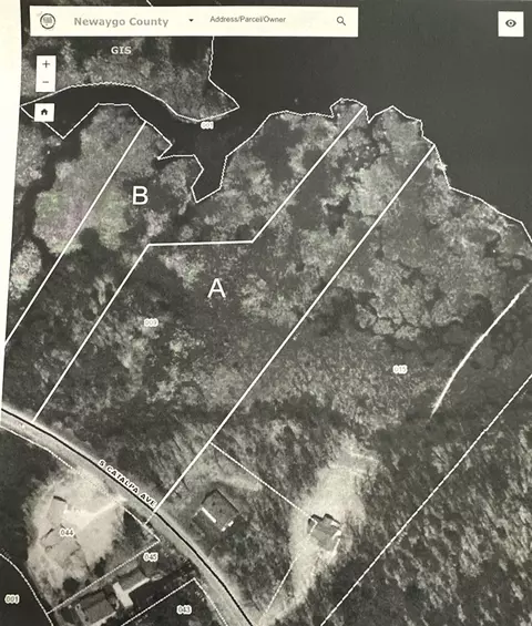 lot S A S Catalpa, Newaygo, MI 49337 photo 5