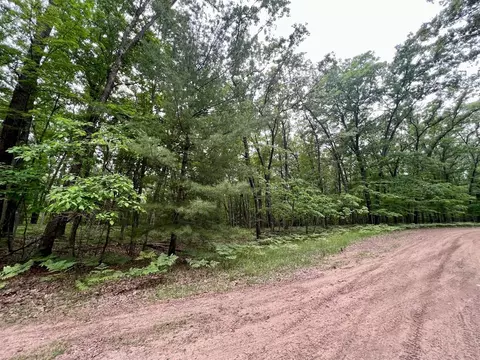 Trail Of Lakes, Baldwin, MI 49304