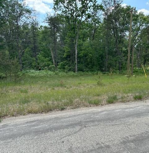 S Yale, Baldwin, MI 49304