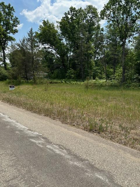 W Ann, Baldwin, MI 49304 photo 8