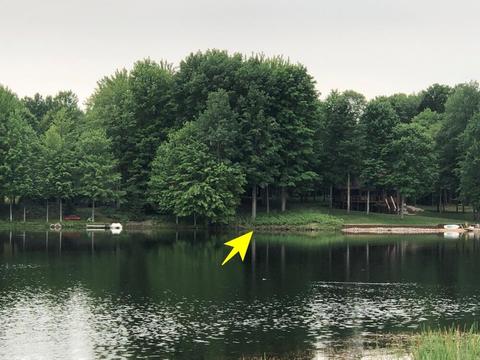 9892 Fawn Lk, Canadian Lakes, MI 49346