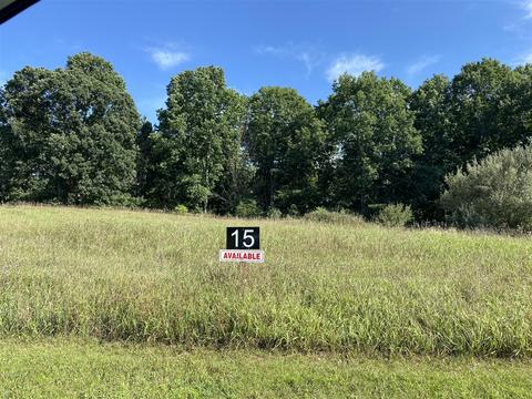 2160 Quarter Horse #15, Cedar Springs, MI 49319