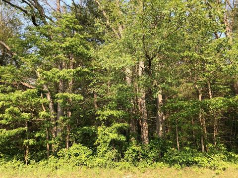 Vl 53rd Street, Pullman, MI 49450 photo 2
