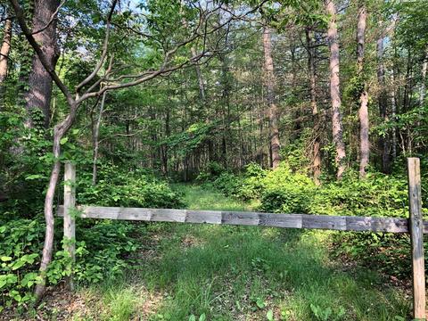 Vl 53rd Street, Pullman, MI 49450 photo 9