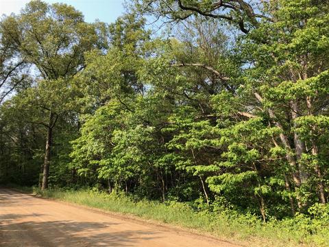 Vl 53rd Street, Pullman, MI 49450 photo 3