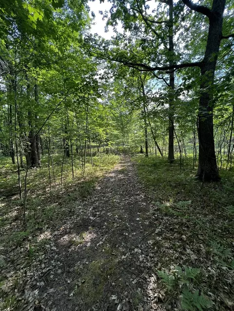 00 Railroad Grade, Update, MI 48656 photo 62