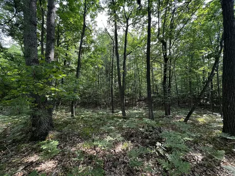 00 Railroad Grade, Update, MI 48656 photo 43