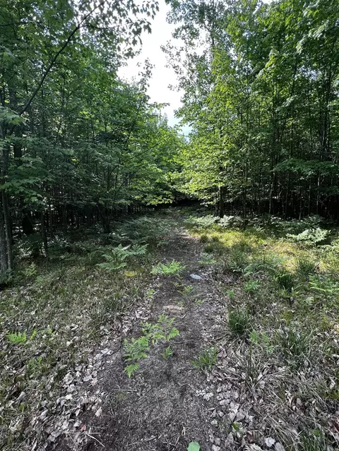 00 Railroad Grade, Update, MI 48656 photo 59