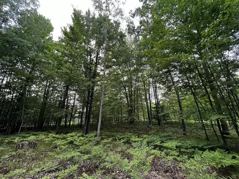 00 Railroad Grade, Update, MI 48656 photo 48