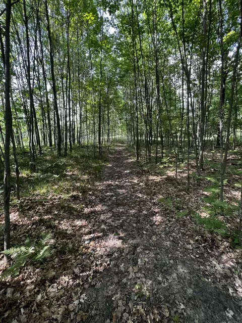 00 Railroad Grade, Update, MI 48656 photo 61