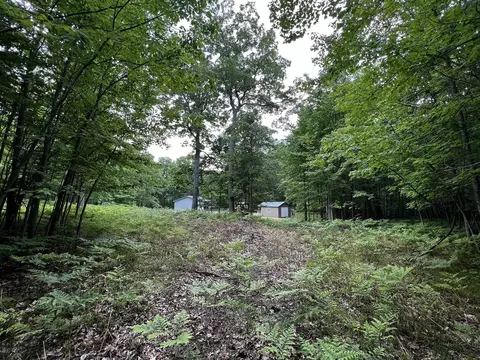 00 Railroad Grade, Update, MI 48656 photo 47